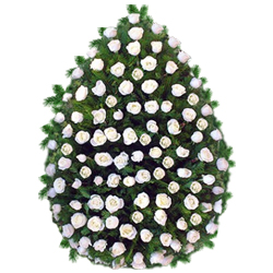 Coroana 100 trandafiri albi