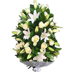 Jerba trandafiri crini trandafiri