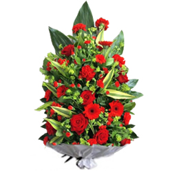 Jerba trandafiri garoafe gerbera